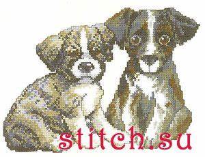 Kit perritos 12-2446