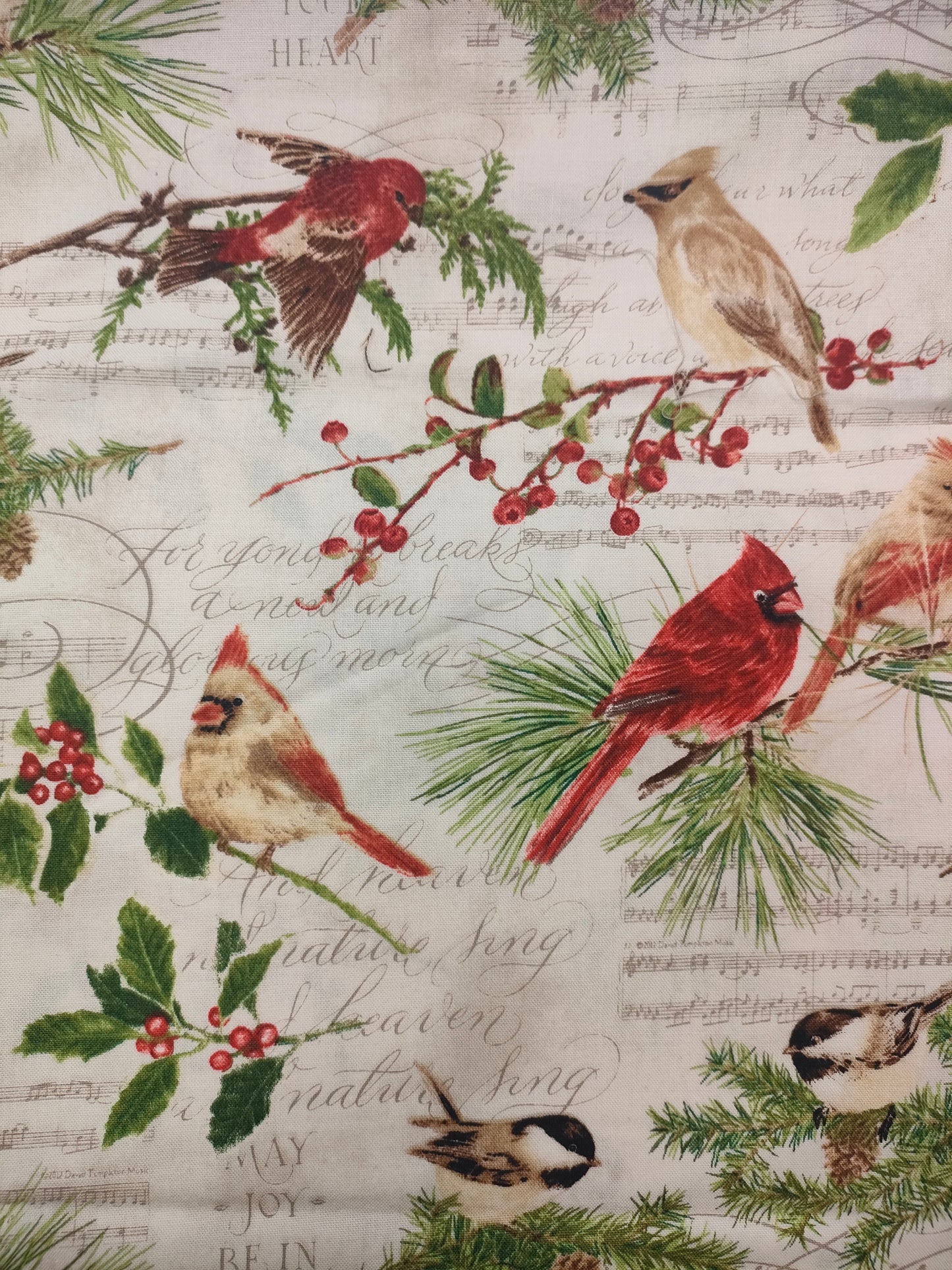 Cardenal y notas musicales.