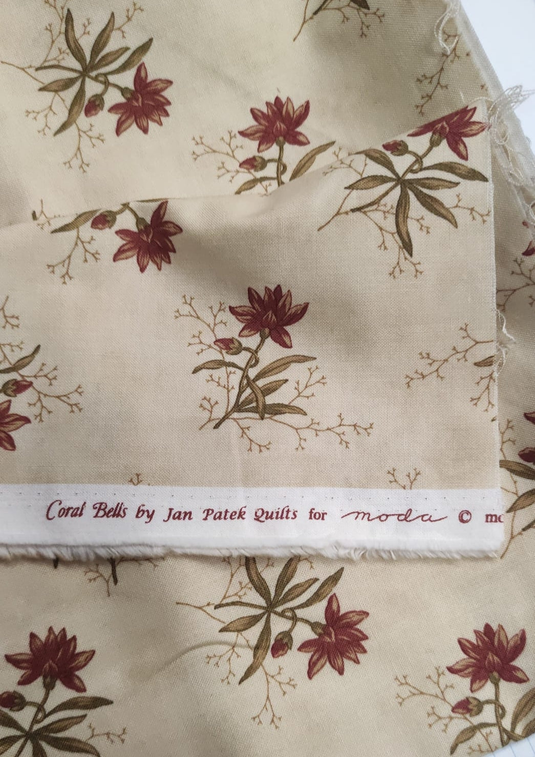 2128-11 Coral bells.