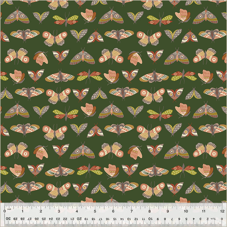 WH 54293-4 under the canopy.