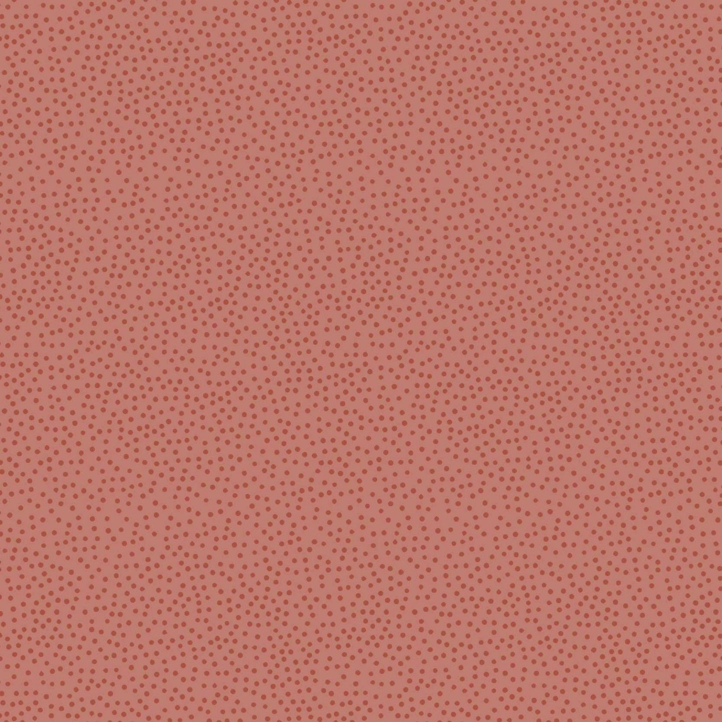 DV 3402 Sunkissed Sojourn.
