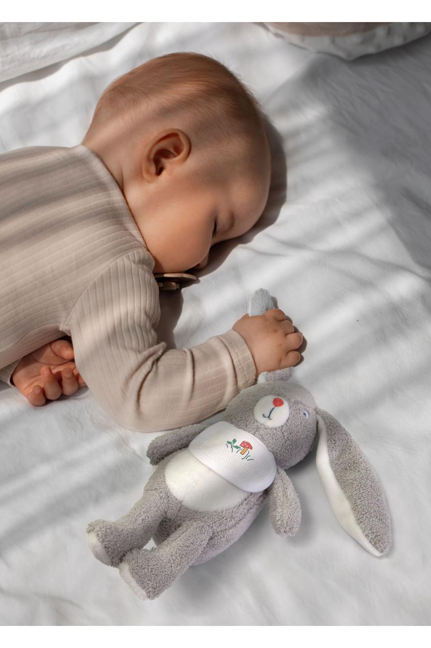 Peluche Lapin.