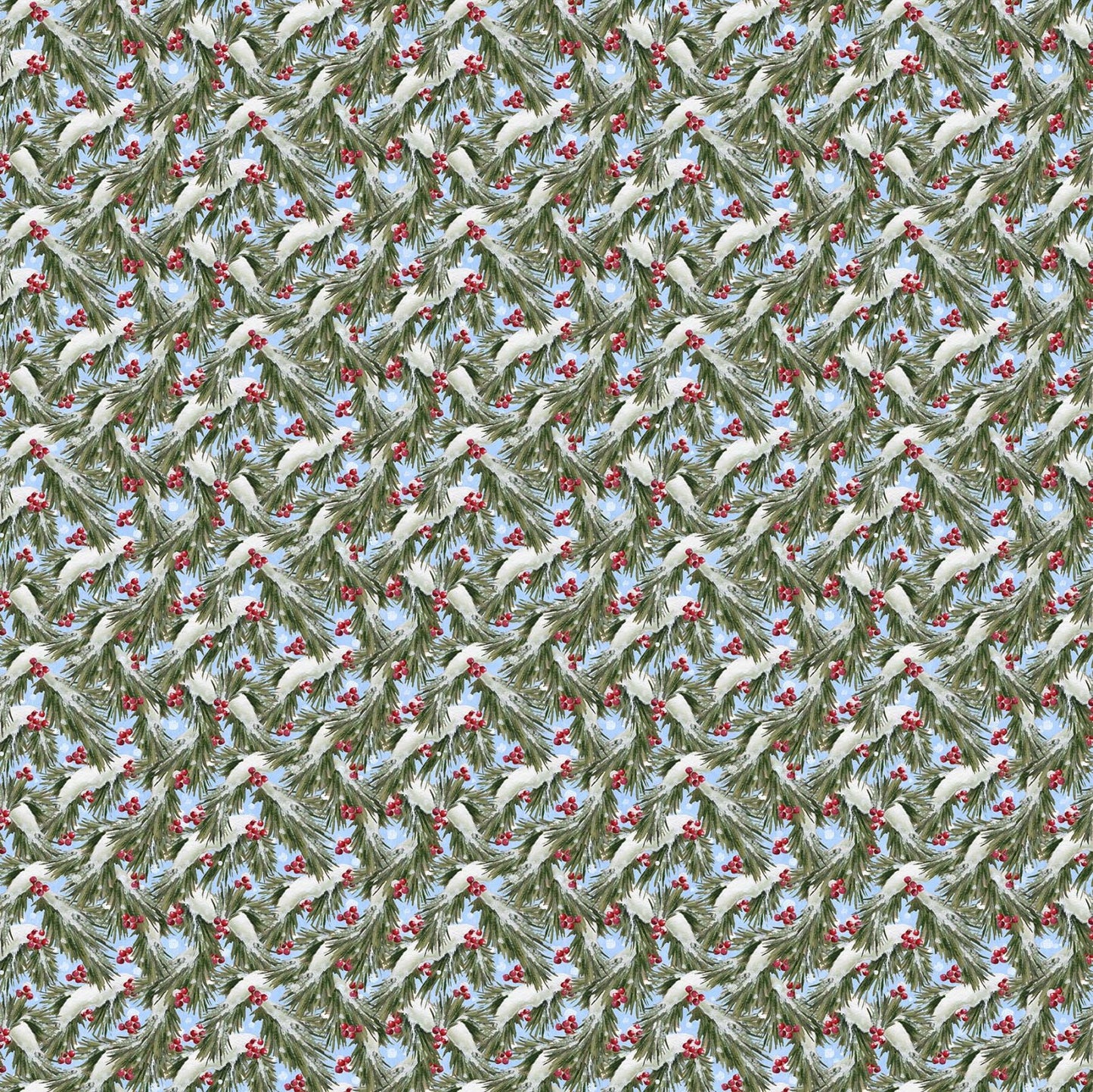 24097-44 winter welcome.