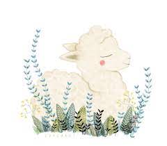 Lanas Alpaca .