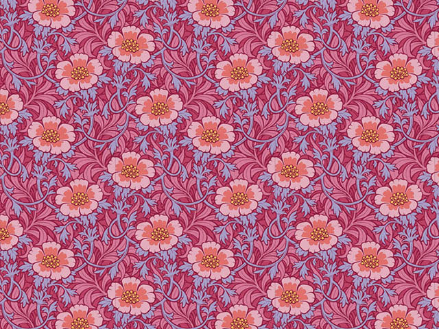 100527-Winterrose-Hibiscus Tilda