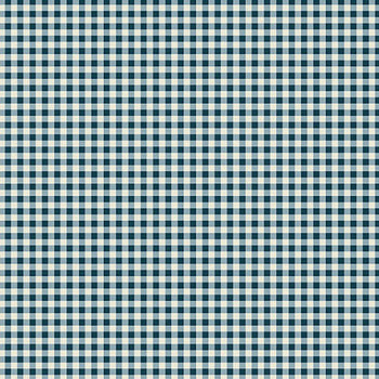 AD 1253 B Cozy House.