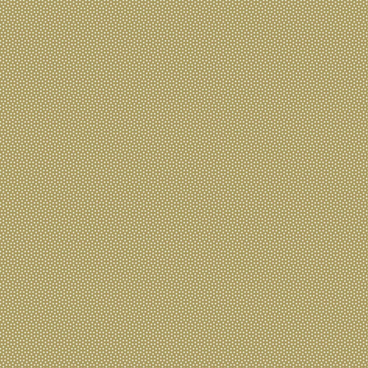 130177 Poppy Seed Olive.