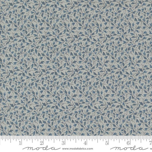 13976- 15 Sacre bleu.
