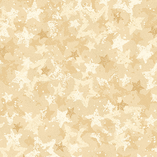 17058 W -07 Star of wonder.