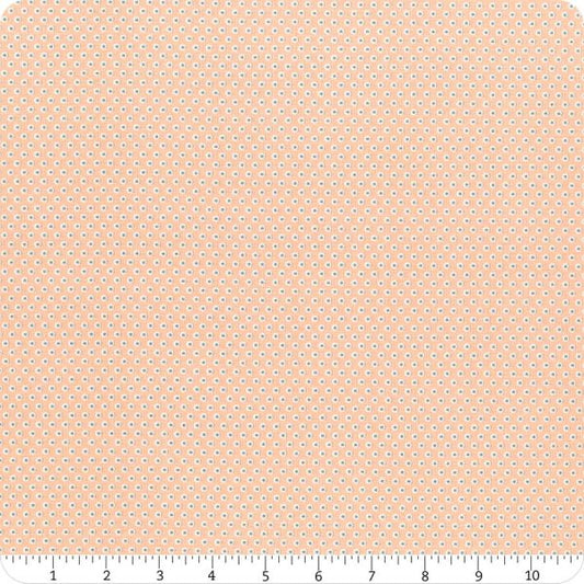 2636-35 My Heighborhood.