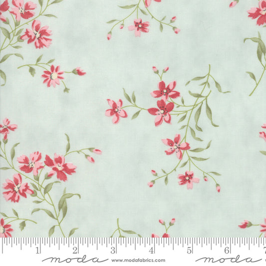 44223 - 13 Rue 1800.