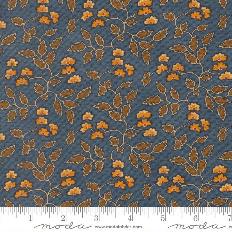 47550- 15 Pamelia´s patch.