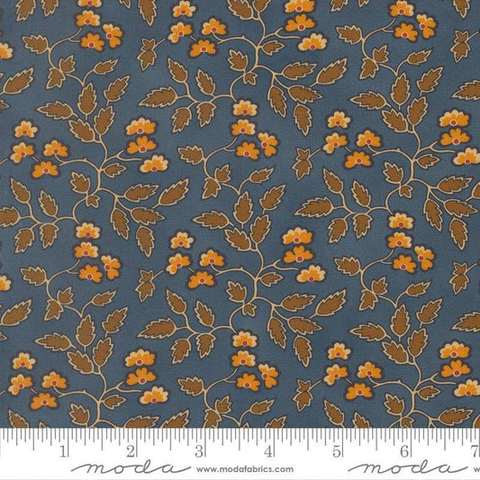 47550- 15 Pamelia´s patch.