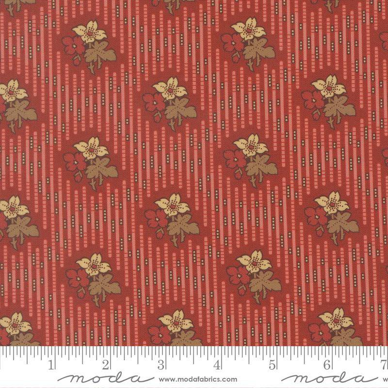 47551- 11 Pamelia´s patch.