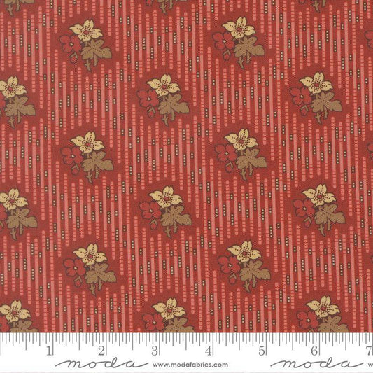 47551- 11 Pamelia´s patch.