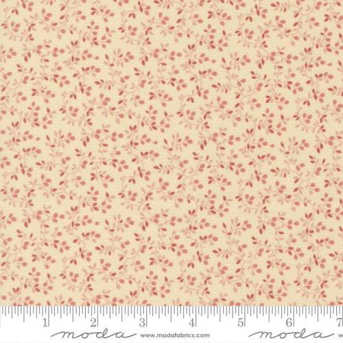 47554- 23 Pamelia´s patch.