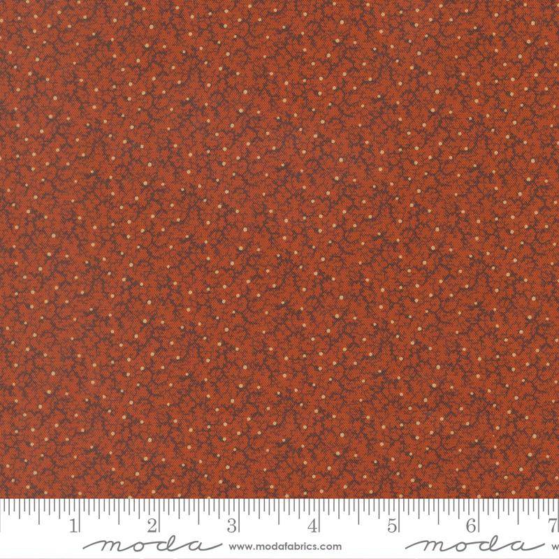 47557- 22 Pamelia´s patch.