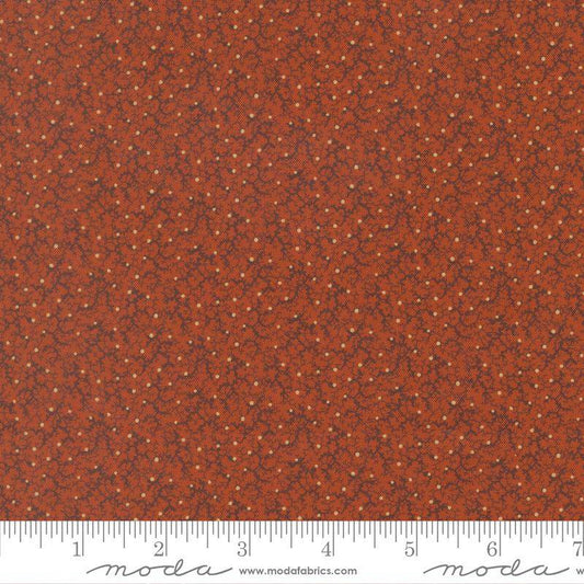 47557- 22 Pamelia´s patch.