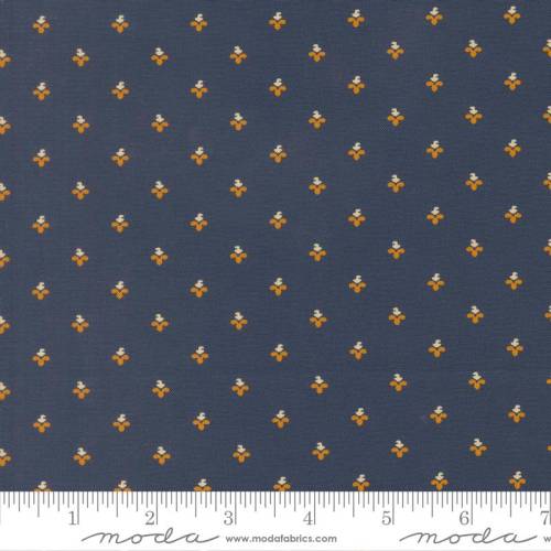 47558- 21 Pamelia´s patch.