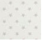 Pique canutillo estrella gris.