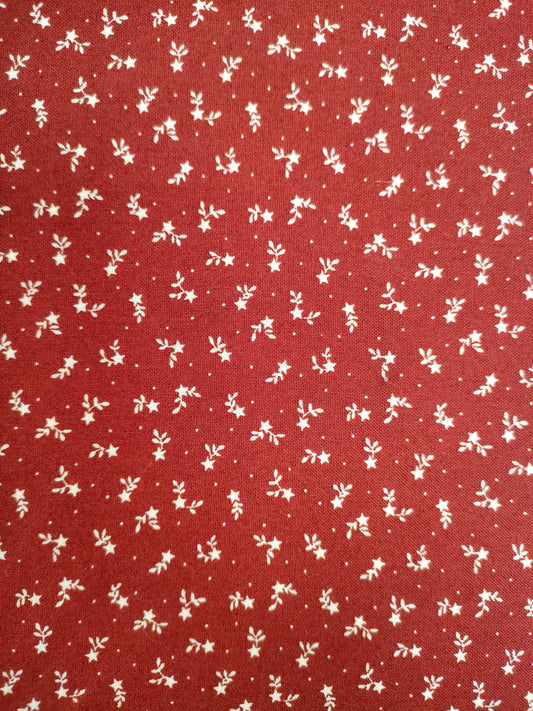 American country Star