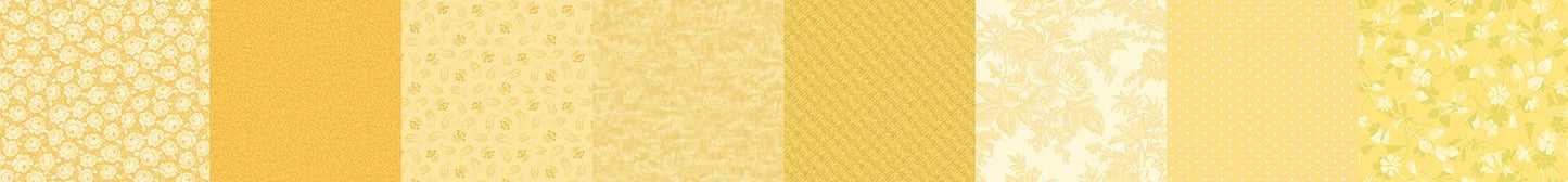 R162100D-YELLOW.