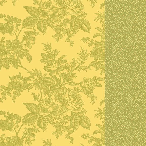 R162101D-LIME.
