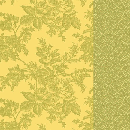 R162101D-LIME.