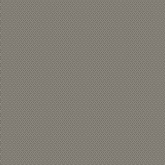 130182 Poppy Seed Soft charcoal.