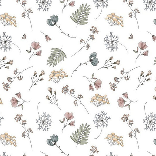 Los básicos de Nevy LBN 03.