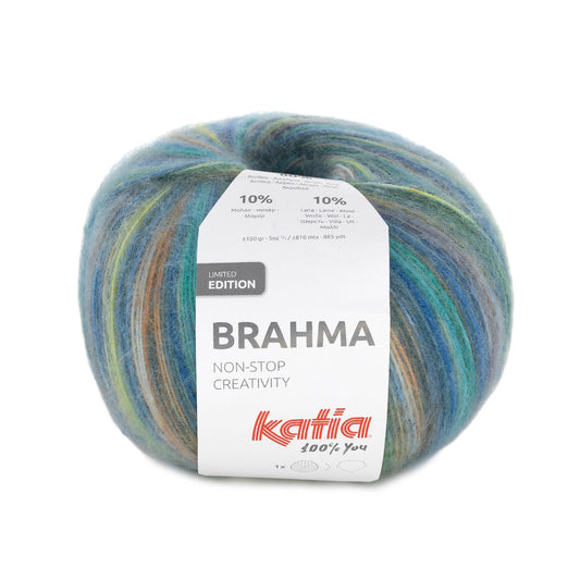 Brahma 306.