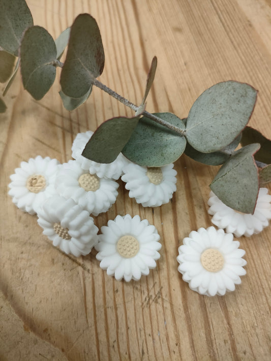 Topes de agujas margaritas