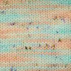 Terra Bonnie Blooms.