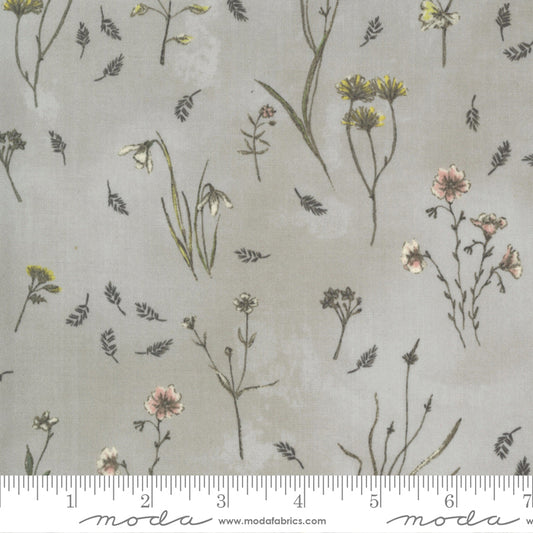 Botanicals 16911-12