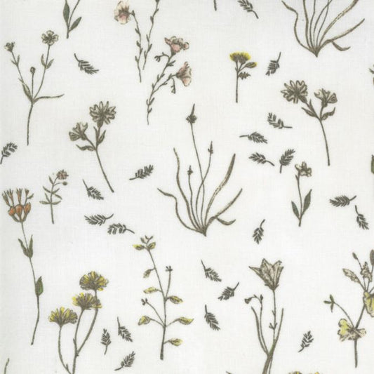Botanicals 16911-11 .