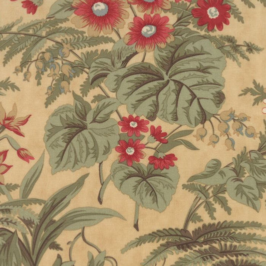 2180 Fern  moda.