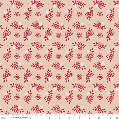 C4052 cream.