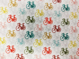 Bicicleta.