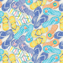 Chanclas 1455-70.