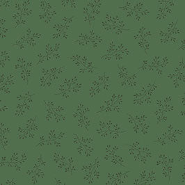 Olive g 1.
