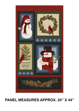 Snow panel Winter After.